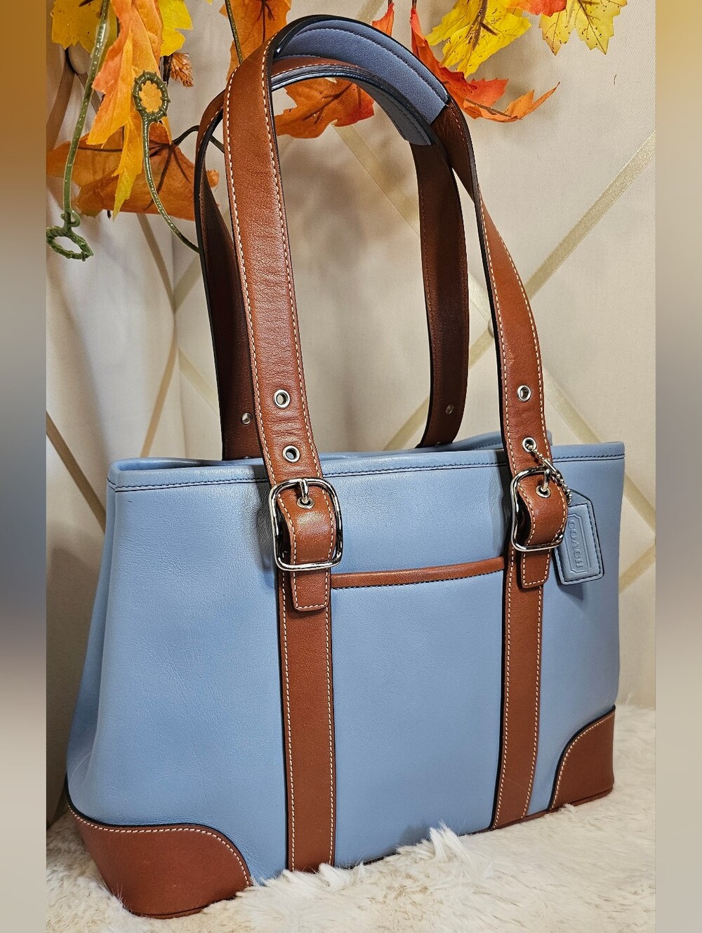 Coach Hampton Leather Tote Bag ( Model 7588)